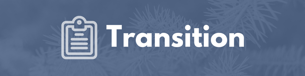 Transition header.png Transition header.png